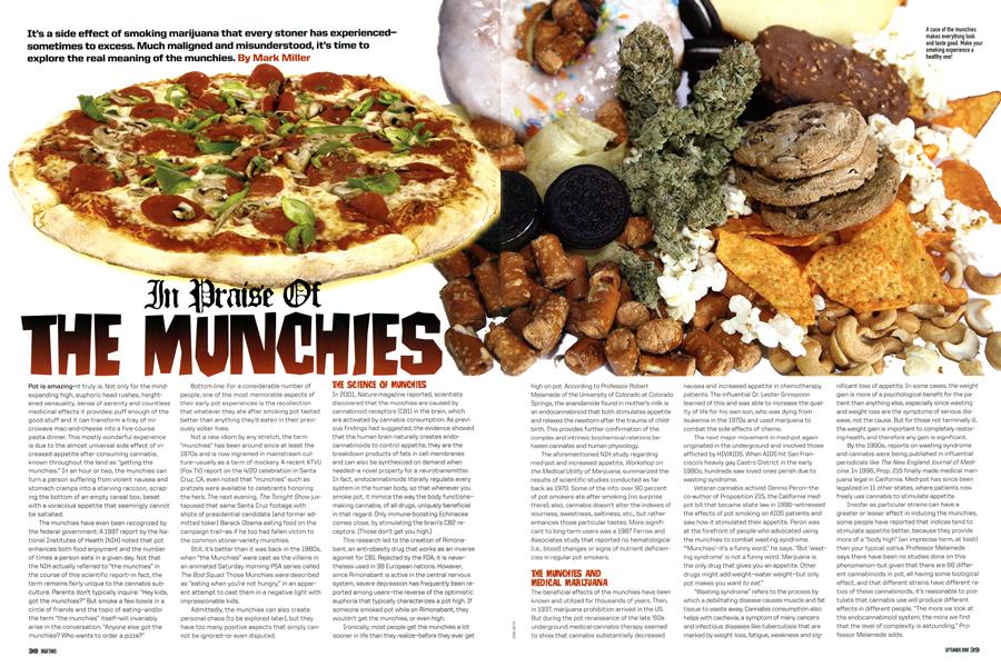 In Praise Of THE MUNCHIES