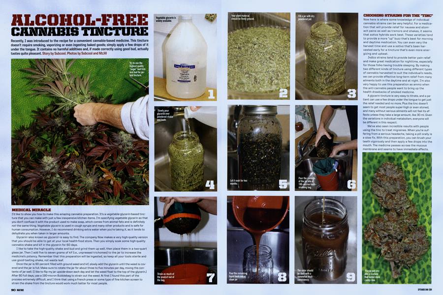 ALCOHOL-FREE CANNABIS TINCTURE
