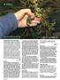 Page: - 100 | High Times