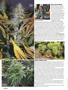 Page: - 56 | High Times