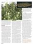 Page: - 64 | High Times