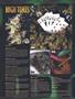 Page: - 8 | High Times