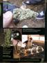 Page: - 84 | High Times