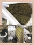 Page: - 91 | High Times