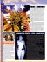 Page: - 12 | High Times