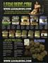 Page: - 2 | High Times