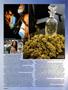 Page: - 40 | High Times
