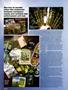 Page: - 44 | High Times