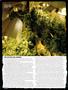 Page: - 56 | High Times