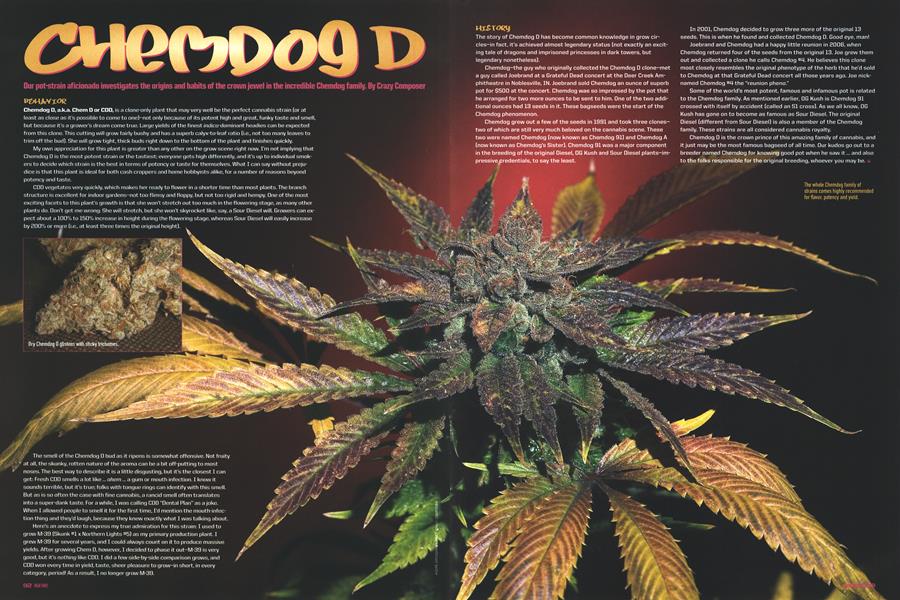 CHEMDOG D