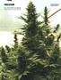 Page: - 100 | High Times