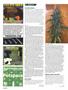 Page: - 104 | High Times