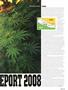 Page: - 43 | High Times