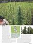 Page: - 45 | High Times