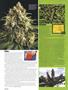 Page: - 46 | High Times