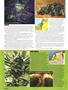 Page: - 50 | High Times