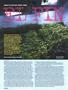 Page: - 64 | High Times