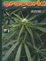 Page: - 81 | High Times