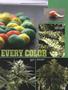 Page: - 93 | High Times