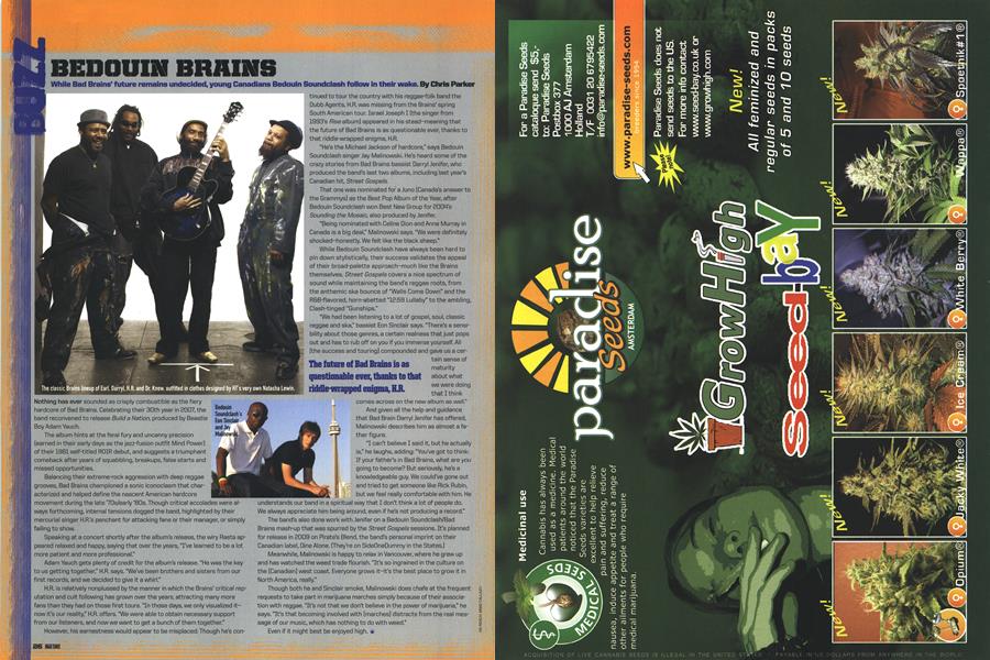 BEDOUIN BRAINS