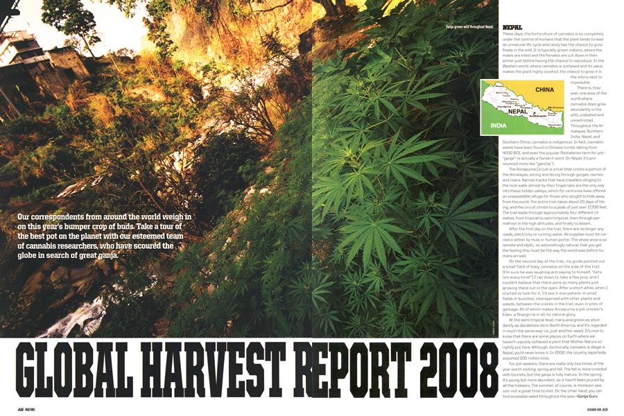 GLOBAL HARVEST REPORT 2008