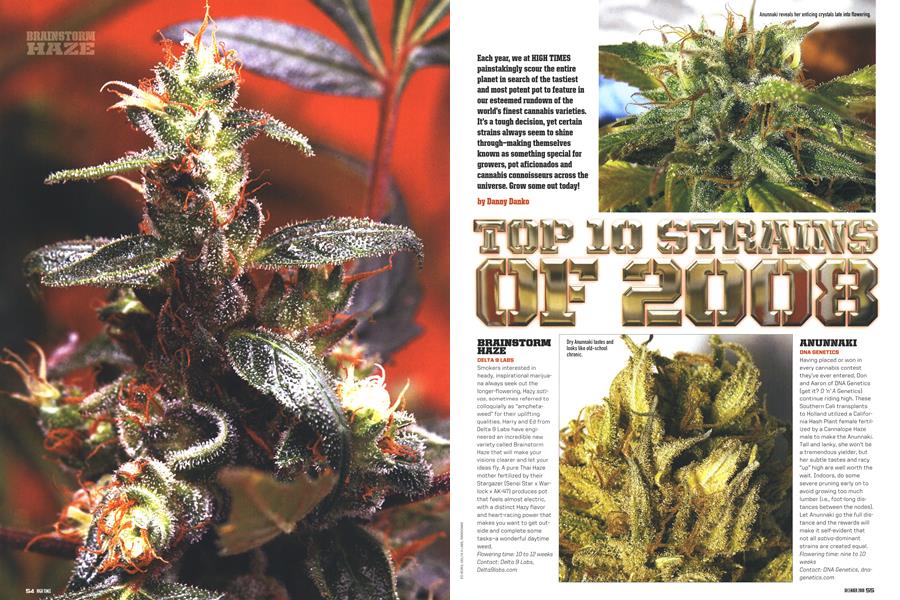 TOP 10 STRAINS OF 2008