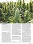 Page: - 101 | High Times