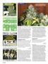 Page: - 102 | High Times