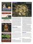 Page: - 104 | High Times