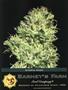 Page: - 119 | High Times