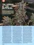 Page: - 40 | High Times