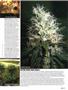 Page: - 47 | High Times