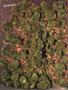 Page: - 63 | High Times