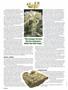 Page: - 68 | High Times