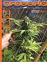 Page: - 81 | High Times