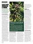Page: - 86 | High Times