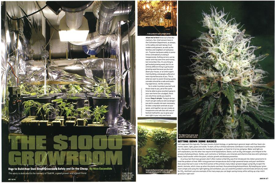 THE $1000 GROWROOM