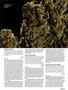 Page: - 101 | High Times