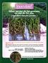 Page: - 107 | High Times