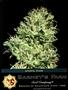 Page: - 119 | High Times