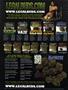 Page: - 2 | High Times