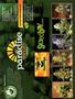 Page: - 27 | High Times