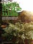 Page: - 34 | High Times