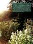 Page: - 35 | High Times