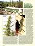 Page: - 38 | High Times