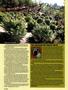 Page: - 40 | High Times
