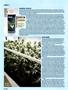 Page: - 56 | High Times