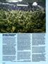 Page: - 58 | High Times