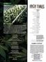 Page: - 6 | High Times