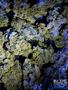 Page: - 61 | High Times